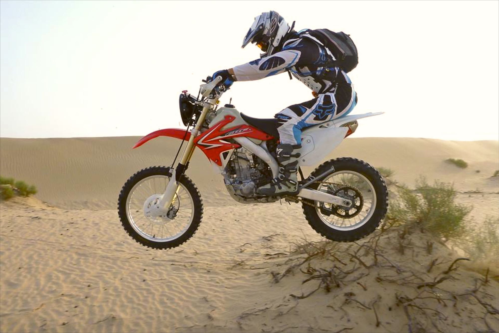 Moto Desert Rides