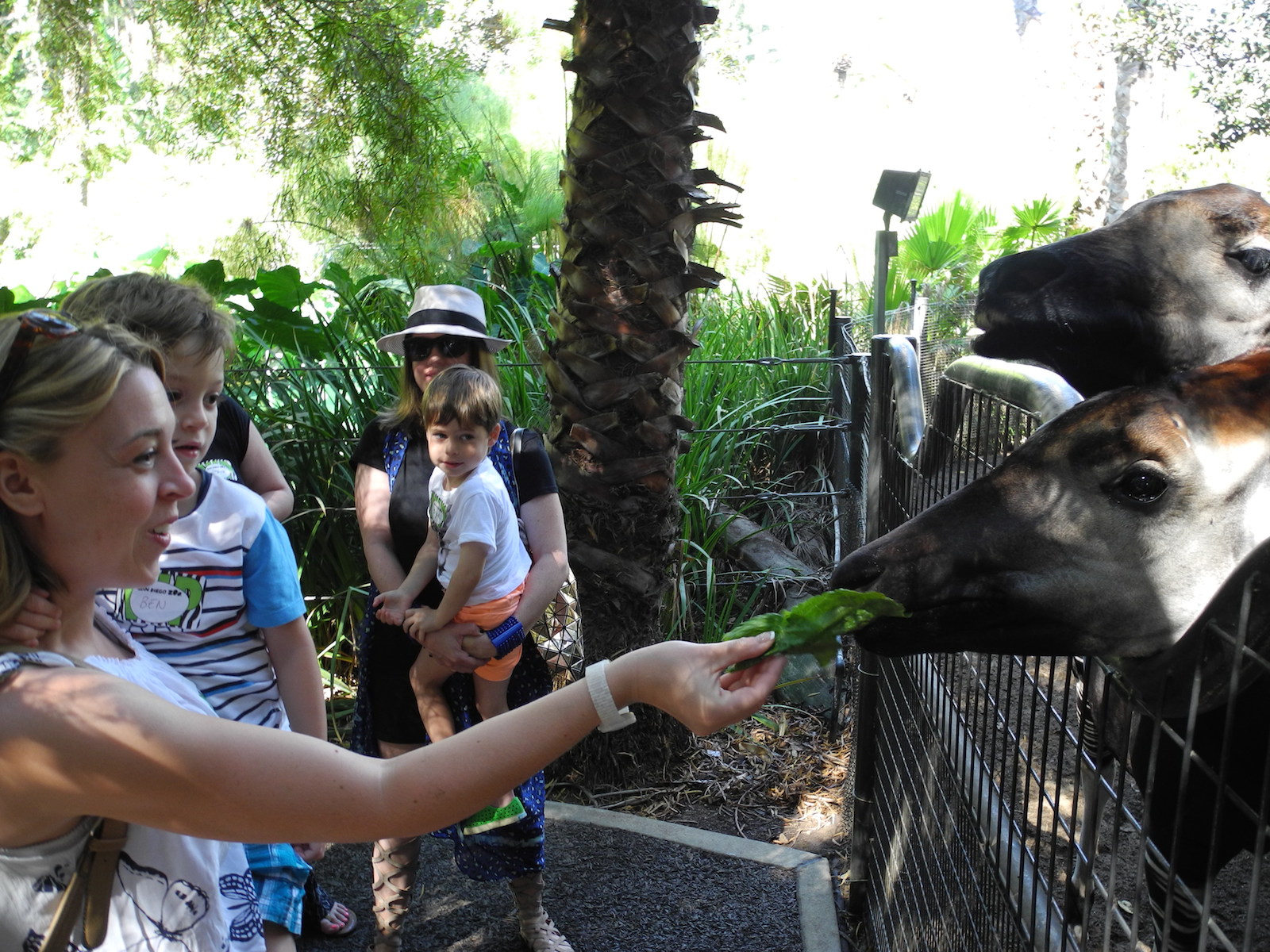 San Diego Zoo