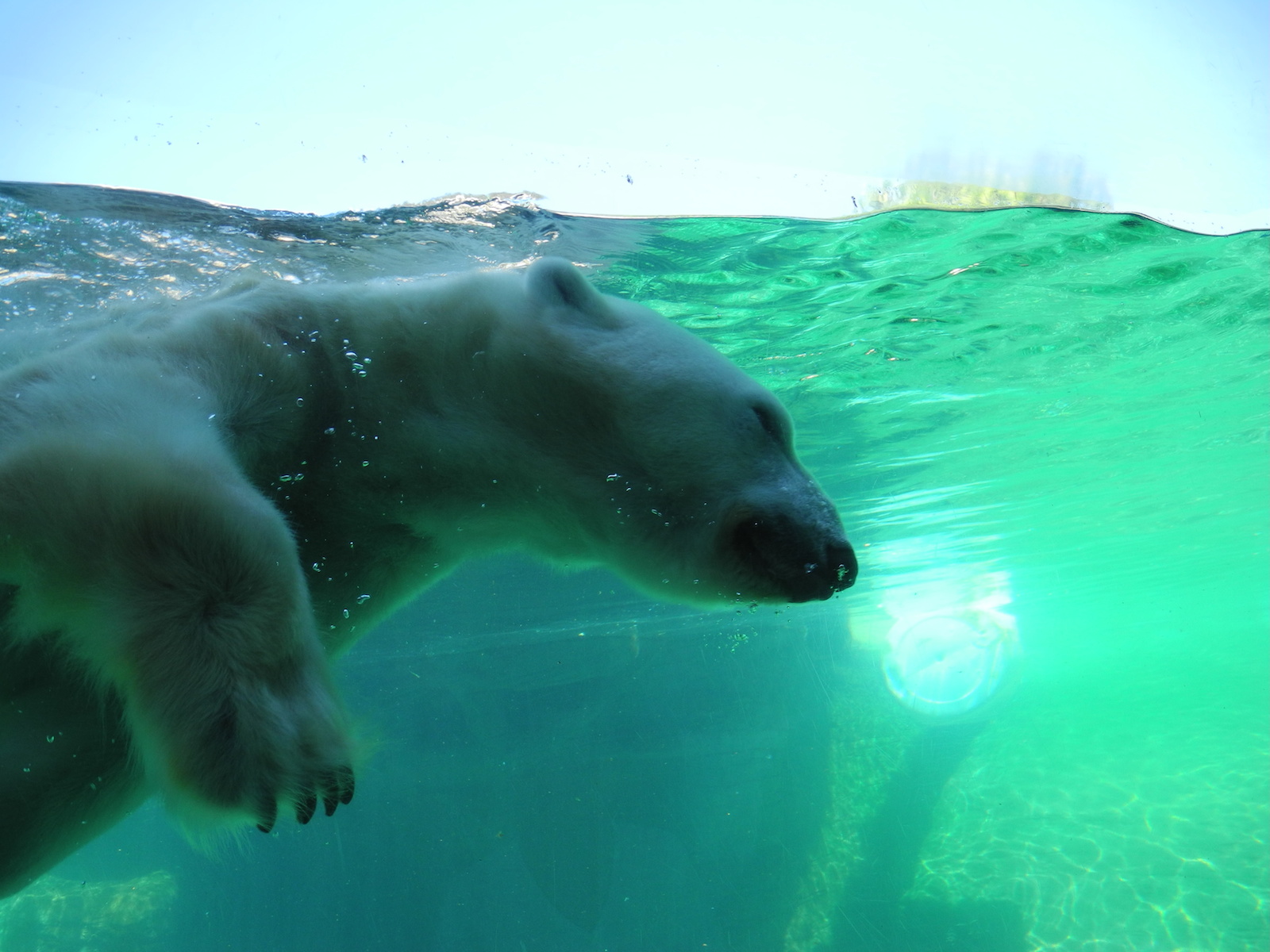 San Diego Zoo