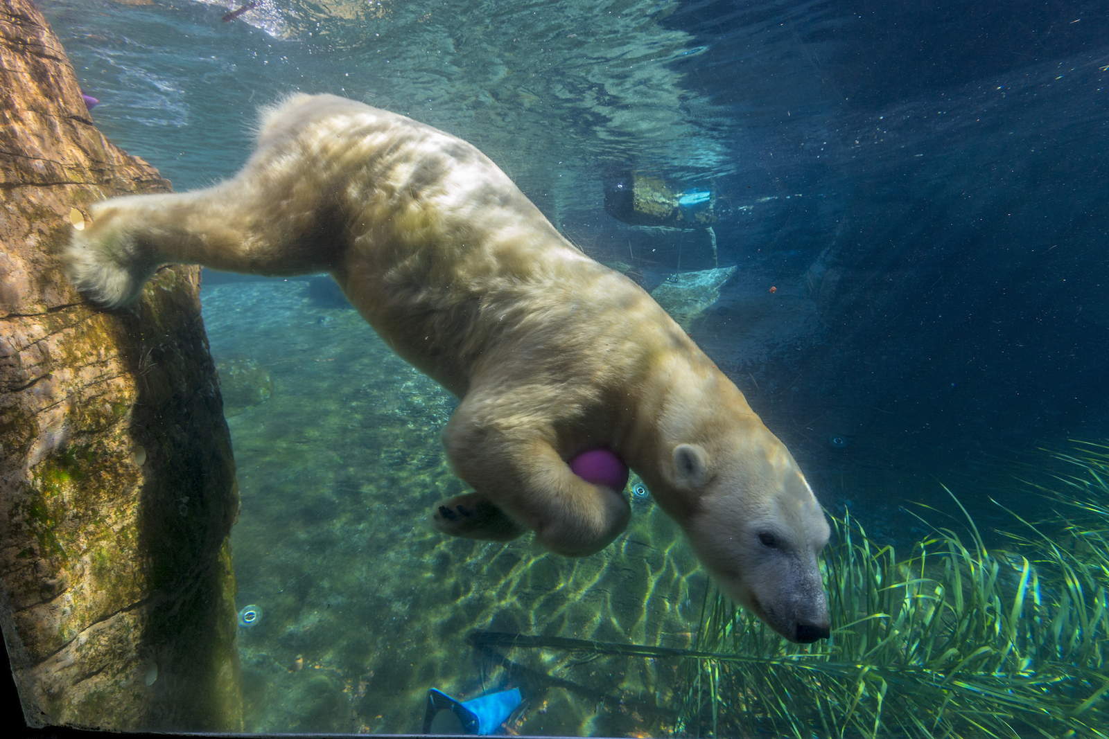 San Diego Zoo