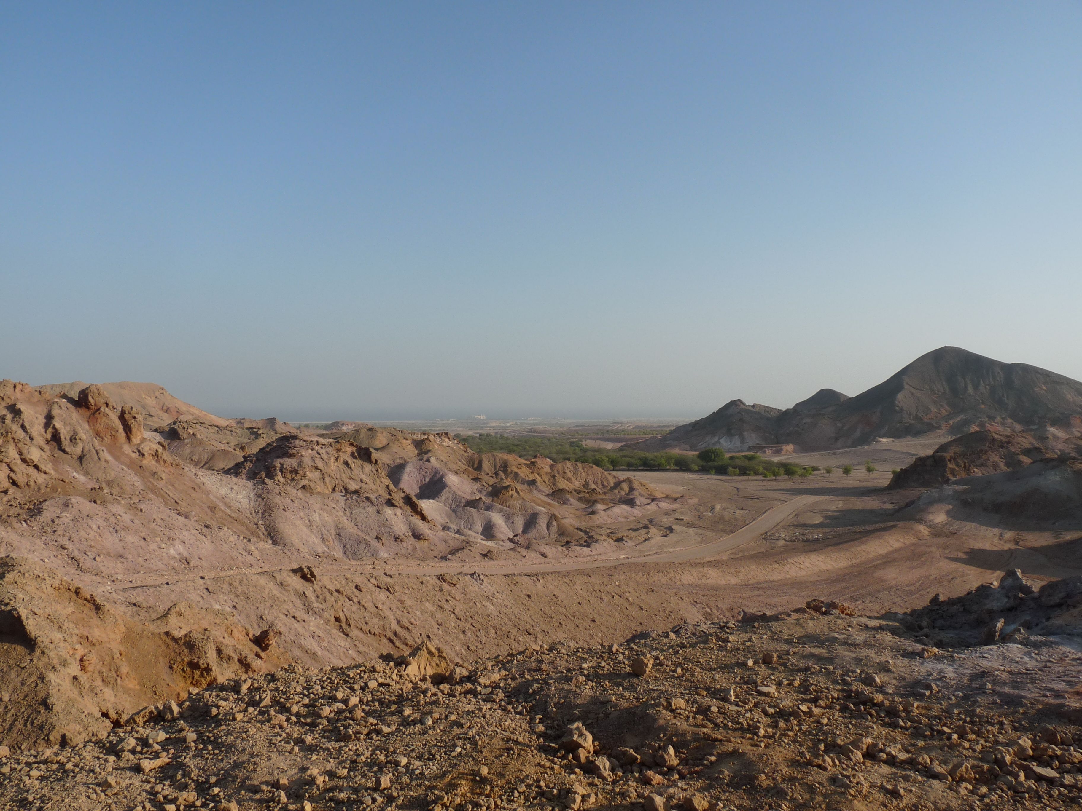 Nature and Wildlife Drive with Anantara at Sir Bani Yas Island.