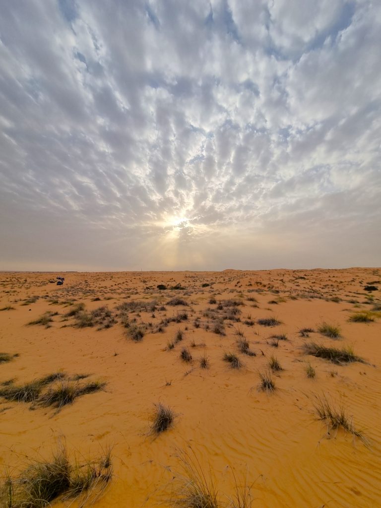 weekenduae Iftar with Platinum Heritage Safari Tour in the Dubai Desert Conservation Centre UAE